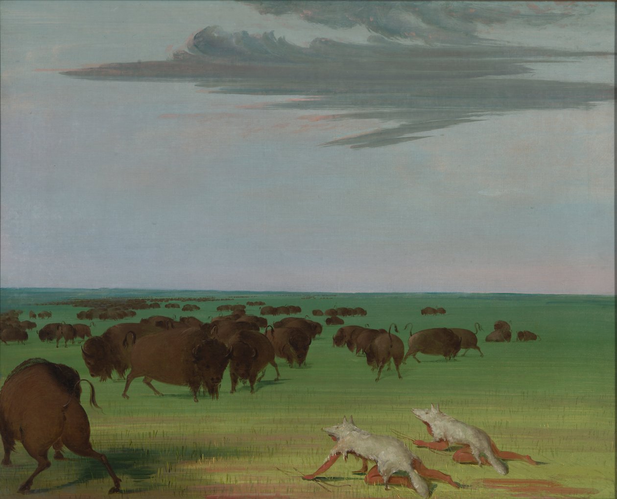 Buffeljakt under vargskinnsmasken, 1832-1833. av George Catlin