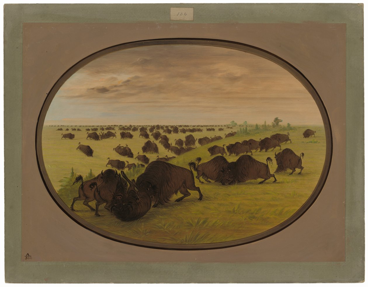 Tjurfäktning av George Catlin