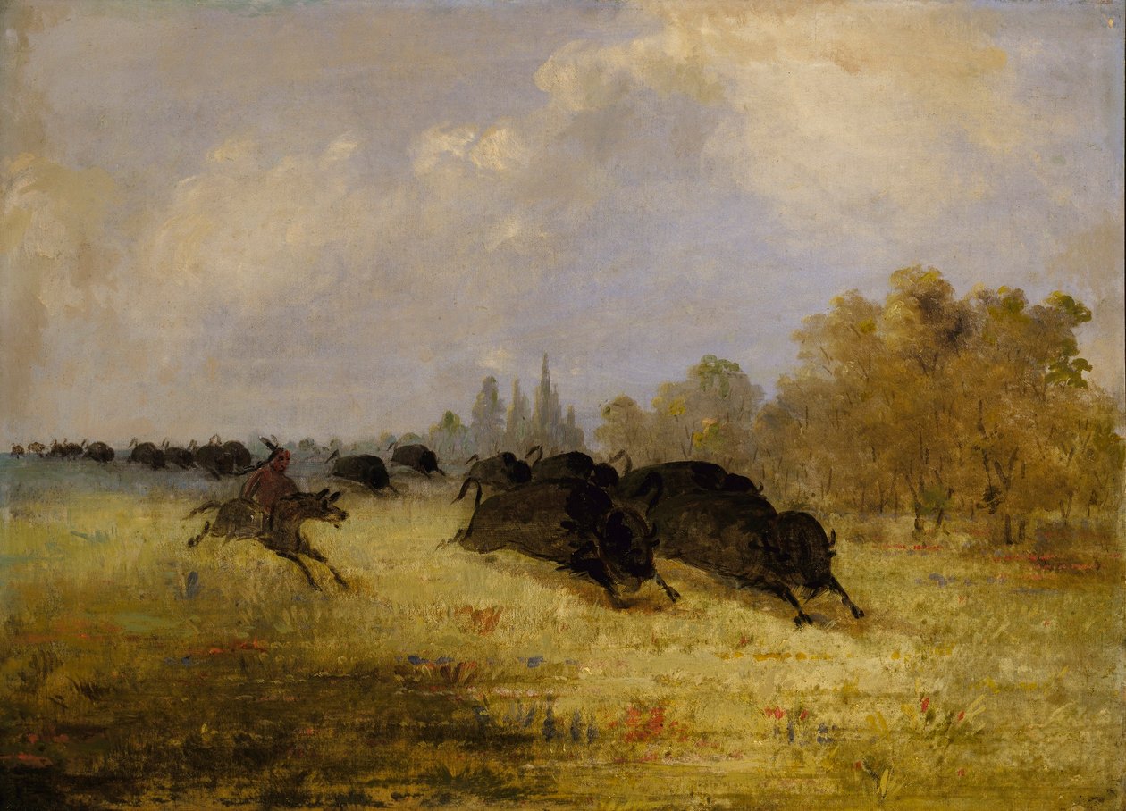 Caddoindianer jagar bufflar, Cross Timbers, Texas av George Catlin