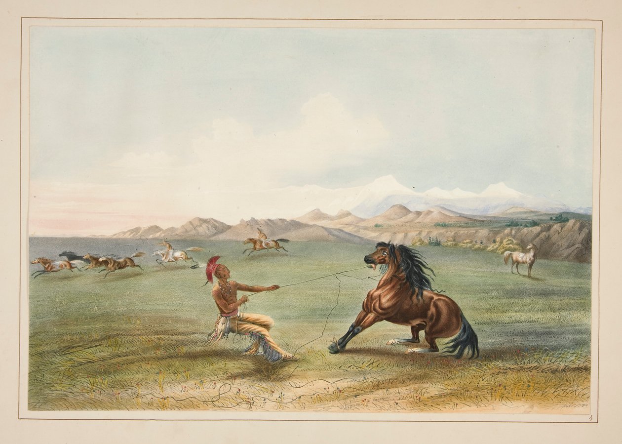 Att fånga vildhästen, pl. 4 från North American Indian Portfolio av George Catlin