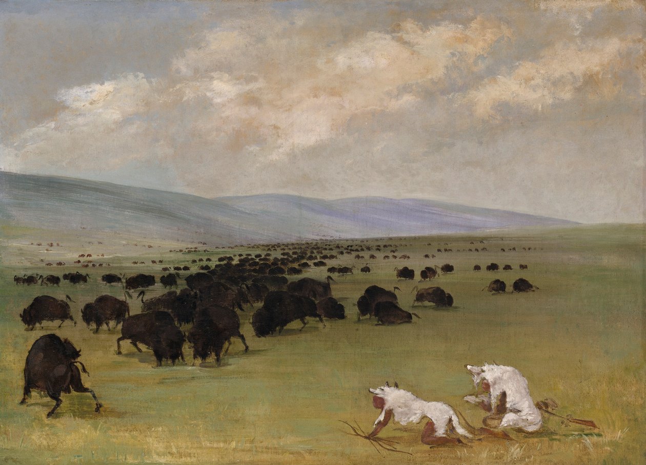 Catlin och hans indianguide närmar sig bufflar under vit varg-skinn av George Catlin