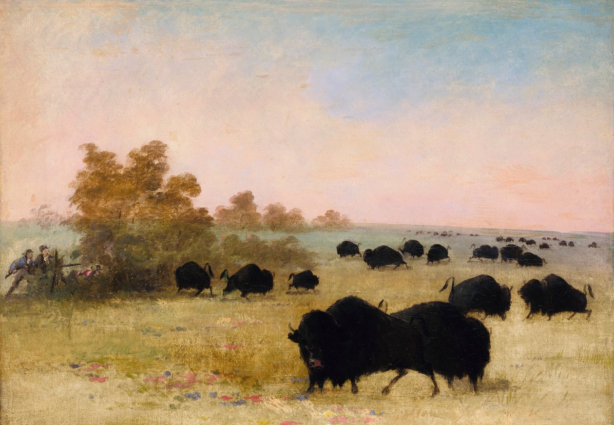 Catlin och sällskap på jakt efter bufflar, Upper Missouri av George Catlin