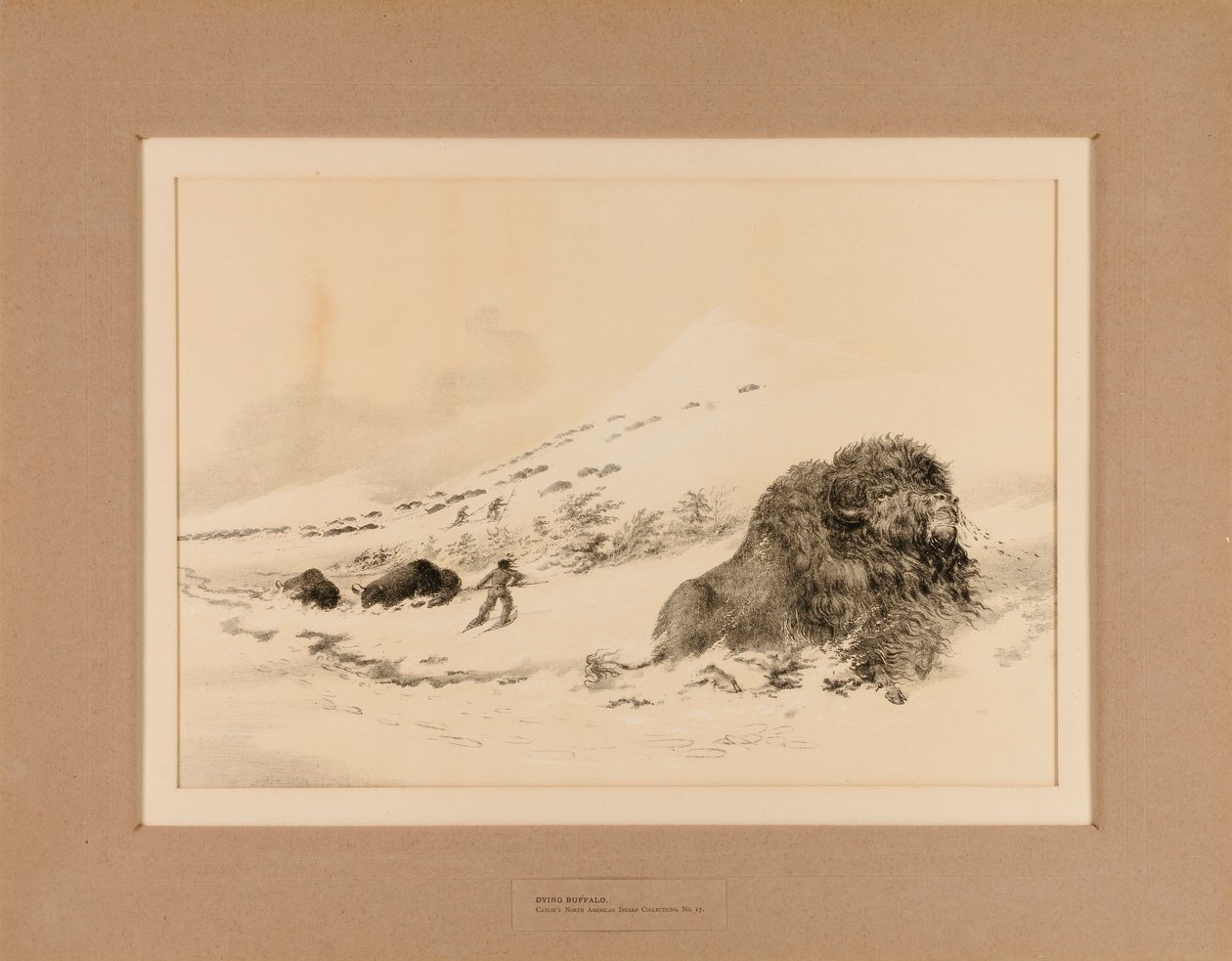 Döende Buffalo - nr 17 av George Catlin