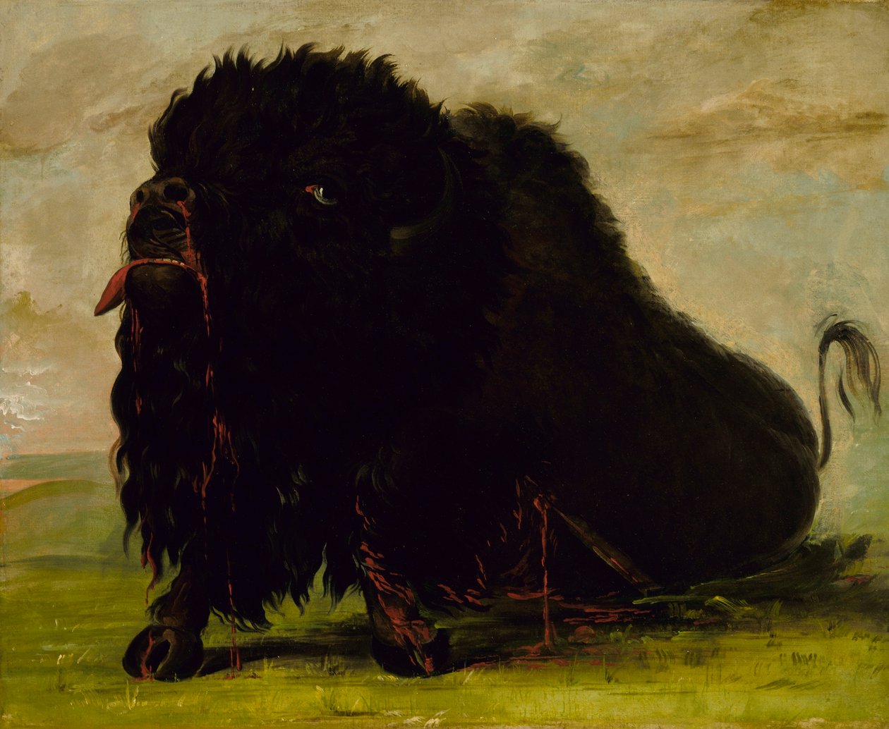 Döende buffel, skjuten med en pil av George Catlin