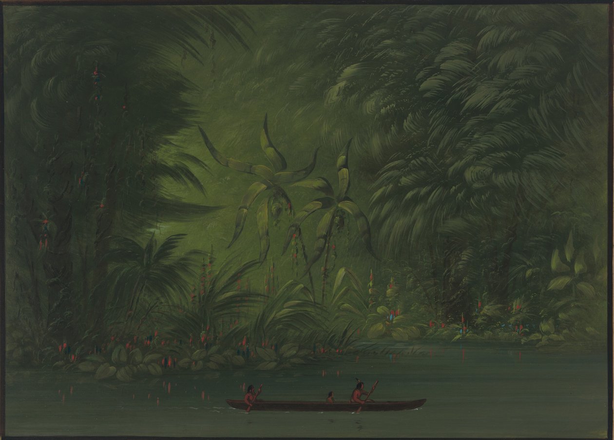 Ingången till en lagun, Amazonas kust, 18541869. av George Catlin