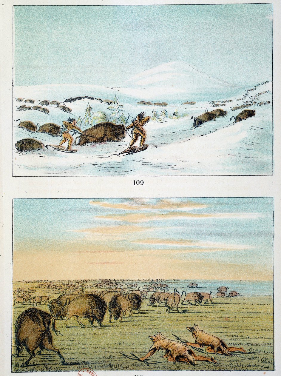 indianer i Amerika. Bisonjakt: Indianer bär snöskor för att jaga på vintern och täcka sig med vargskinn på sommaren. Illustration av George Catlin (1794-1872) av George Catlin