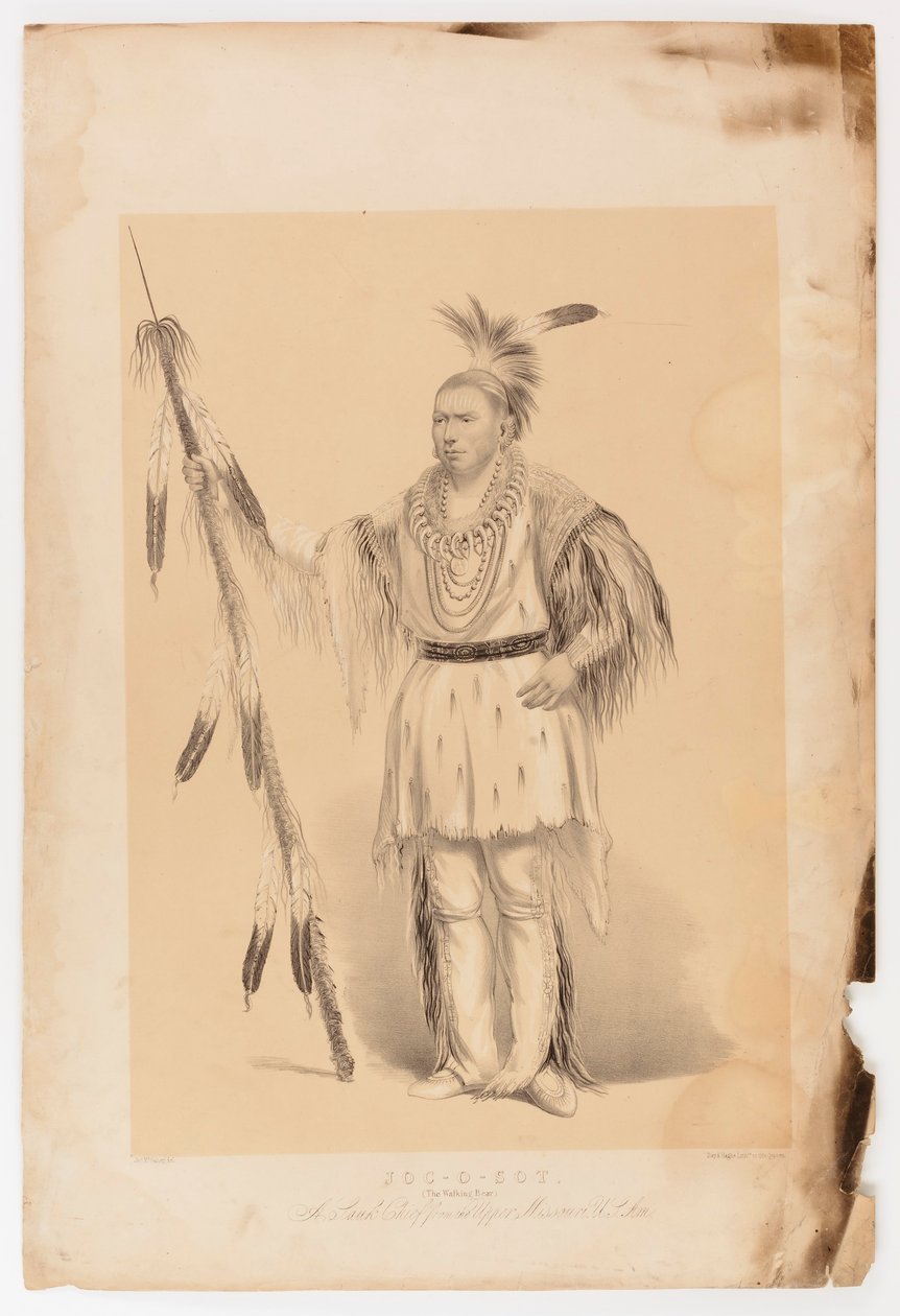 Joc-o-set, den vandrande björnen av George Catlin