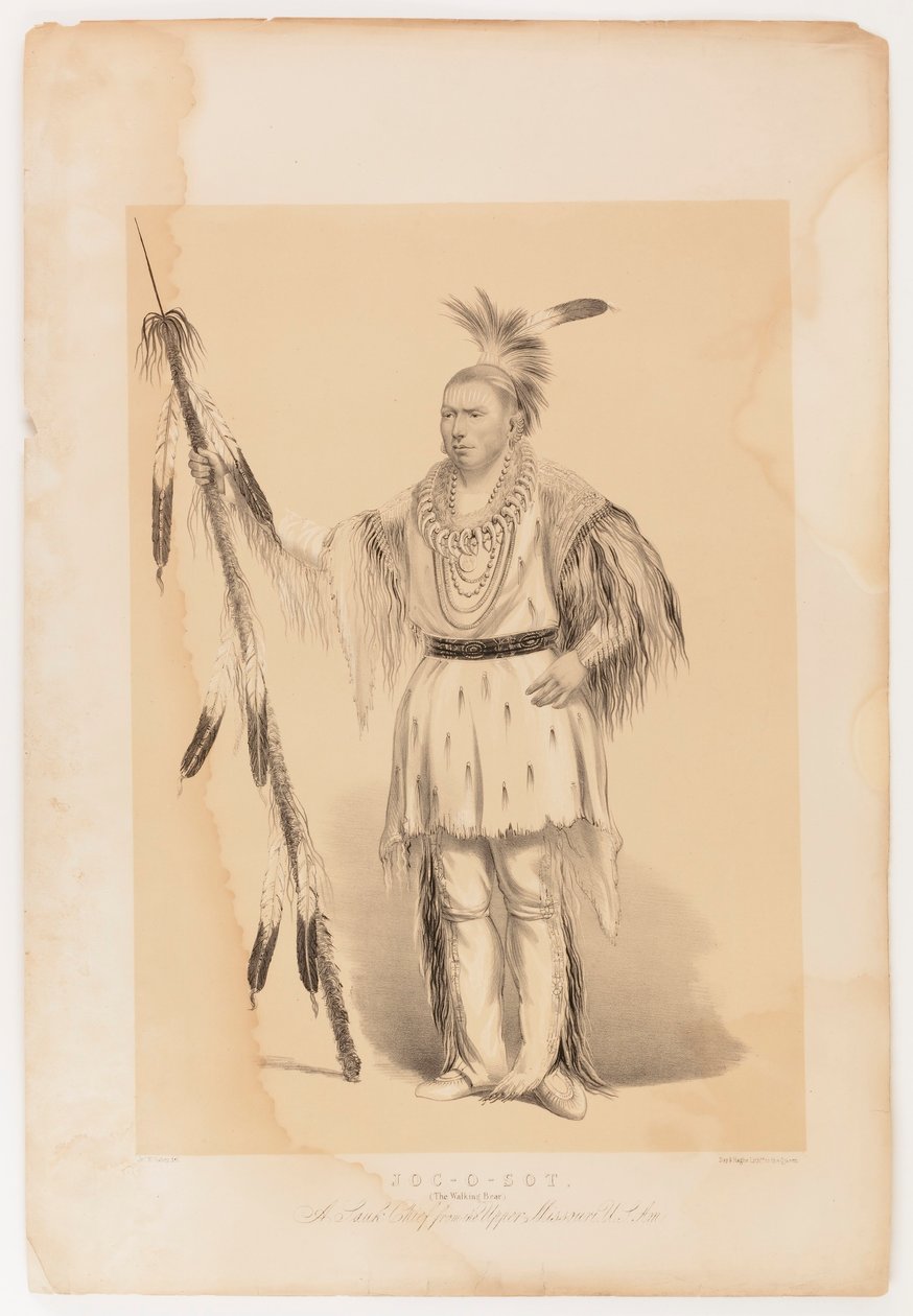 Joc-o-sot, den vandrande björnen av George Catlin