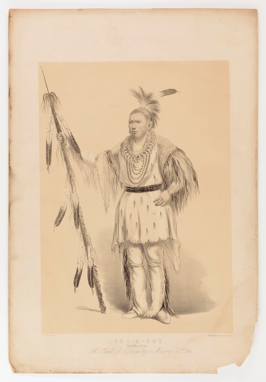 Joc-o-sot, den vandrande björnen av George Catlin