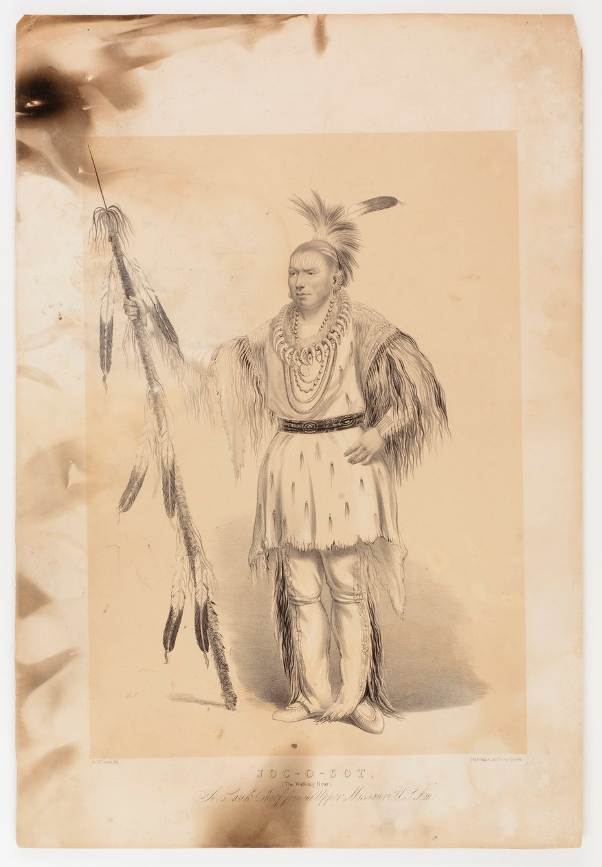Joc-o-sot, den vandrande björnen av George Catlin