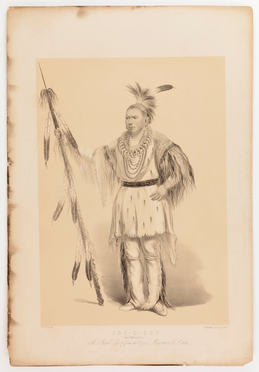 Joc-o-sot, den vandrande björnen av George Catlin