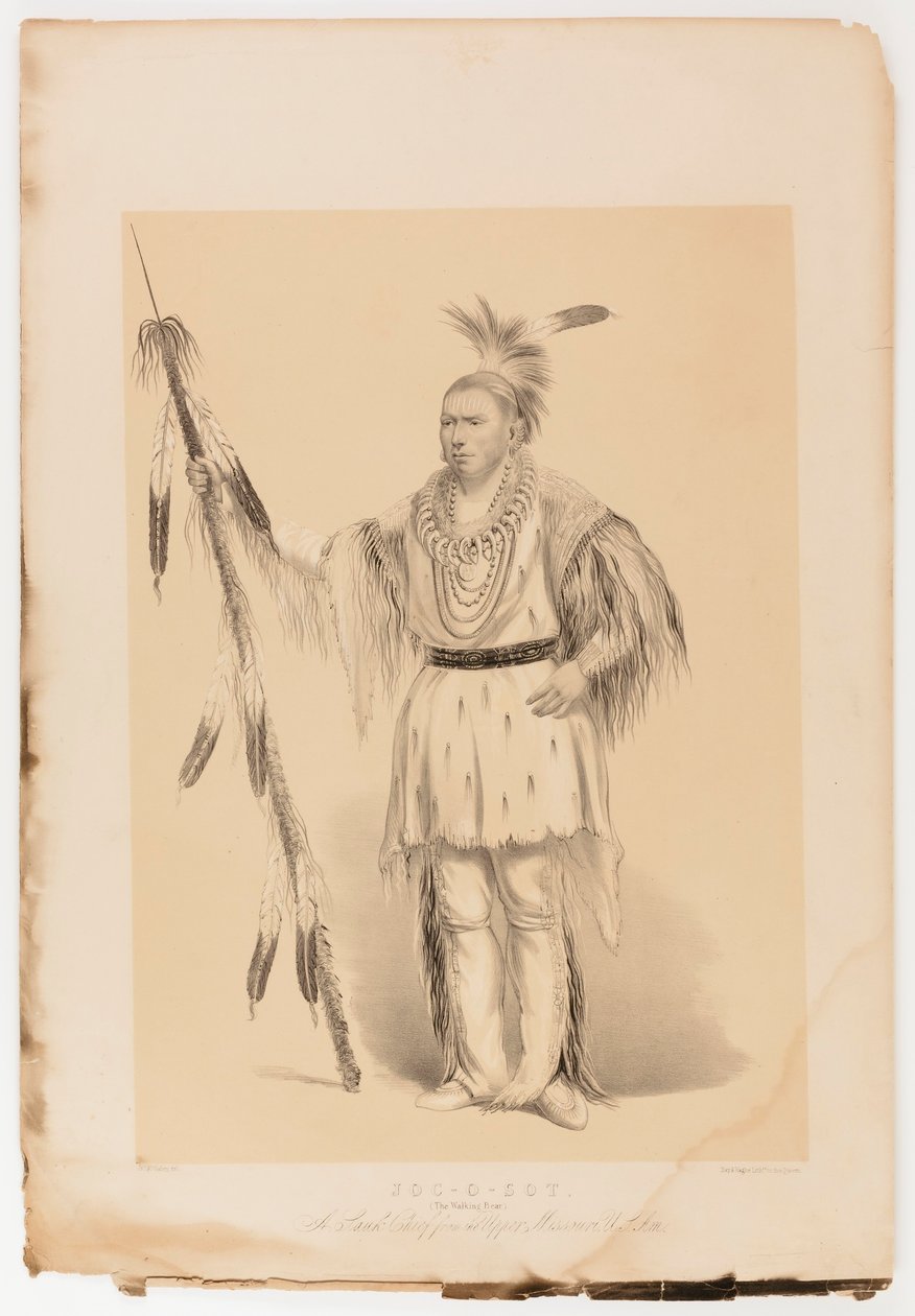 Joc-o-sot, den vandrande björnen av George Catlin