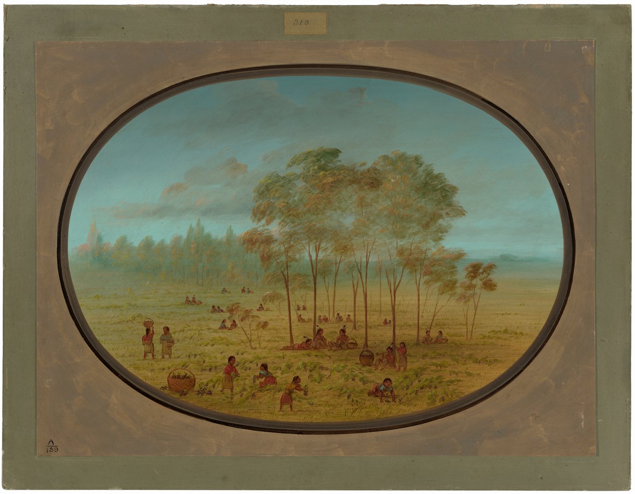 Kiowa-indianer samlar vilda druvor av George Catlin