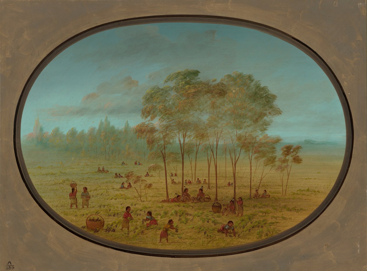 Kiowa-indianer samlar vilda druvor, 18611869. av George Catlin