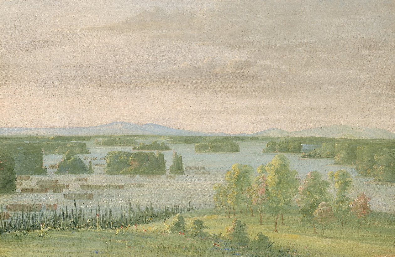 Lac du Cygne (Svanesjön), nära Coteau des Prairies av George Catlin