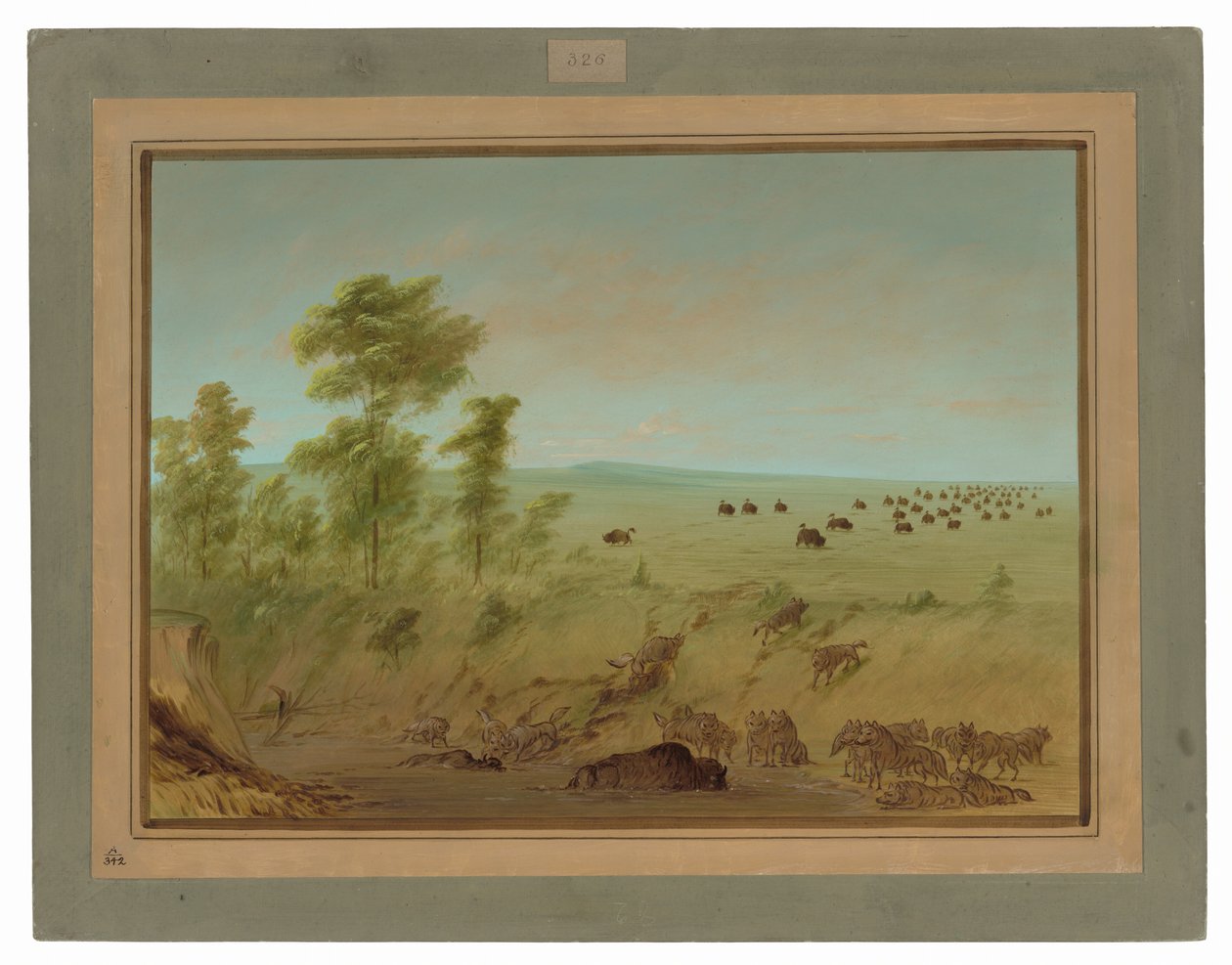 Mired Buffalo och Wolves av George Catlin