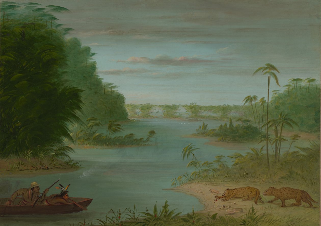 Pont de Palmiers och tigerskytte, 18541869. av George Catlin