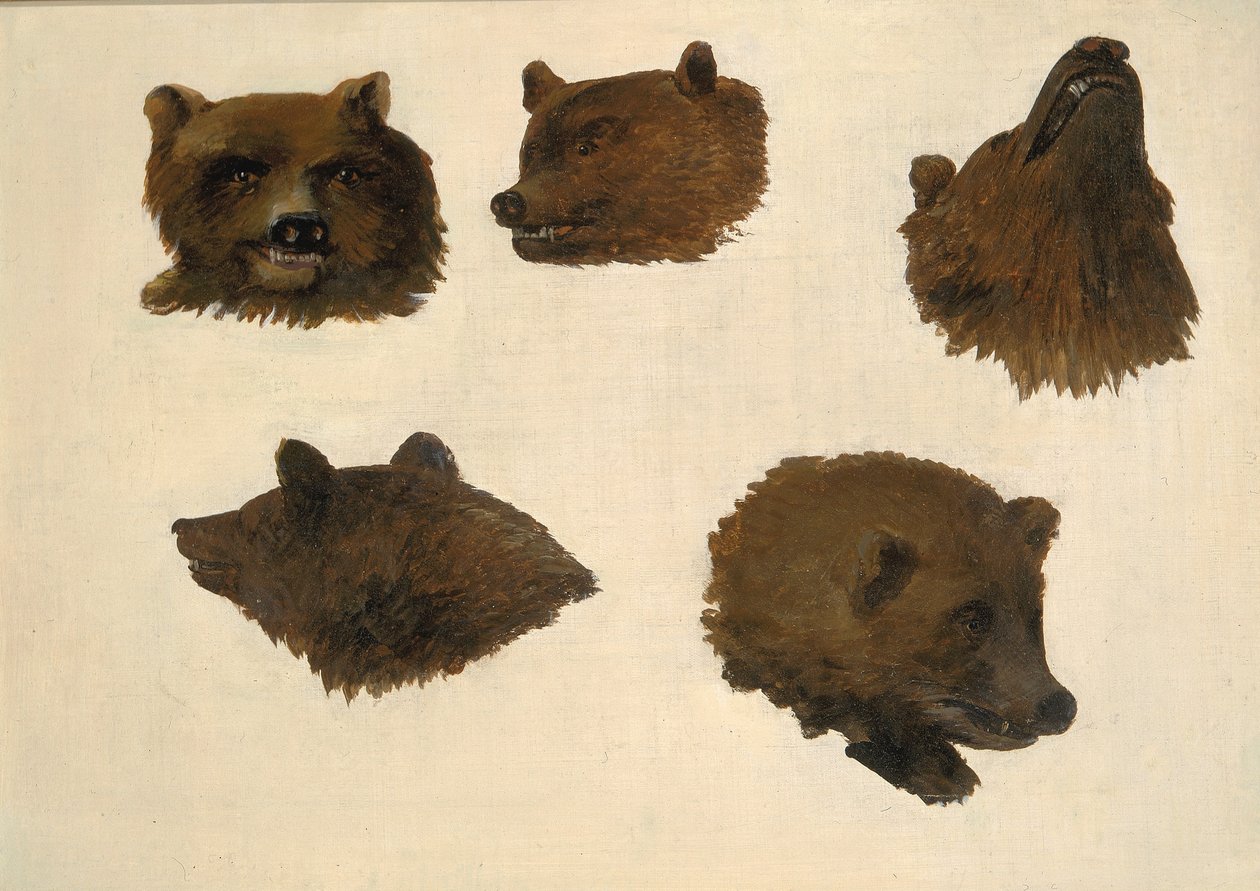 Porträtt av två grizzlybjörnar, från verkligheten av George Catlin
