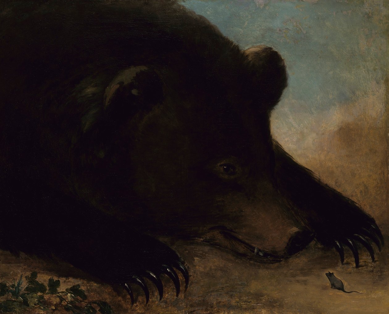 Porträtt av en grizzlybjörn och en mus, naturlig storlek av George Catlin