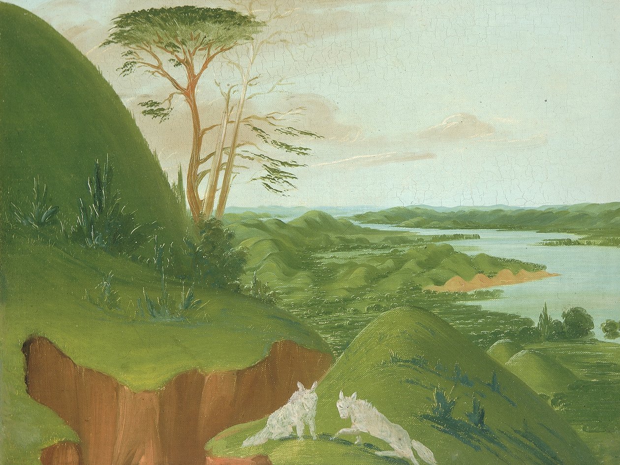 Flodklippor med vita vargar i förgrunden, övre Missouri av George Catlin