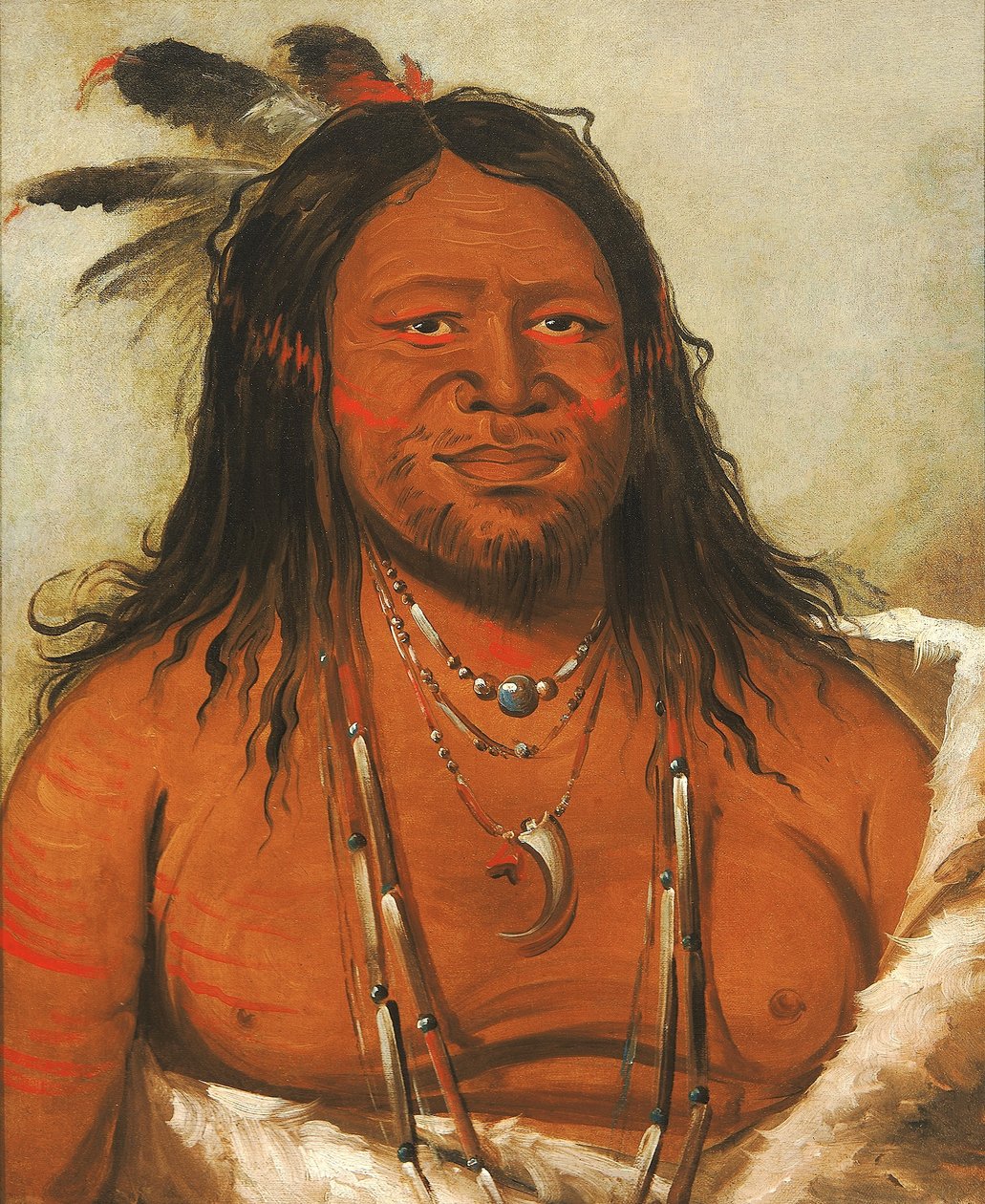 Ta-wáh-que-nah, Klippornas berg, andra hövdingen i stammen av George Catlin