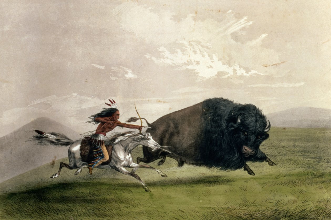 The Buffalo Chase "Singling Out", pub. av Currier och Ives av George Catlin