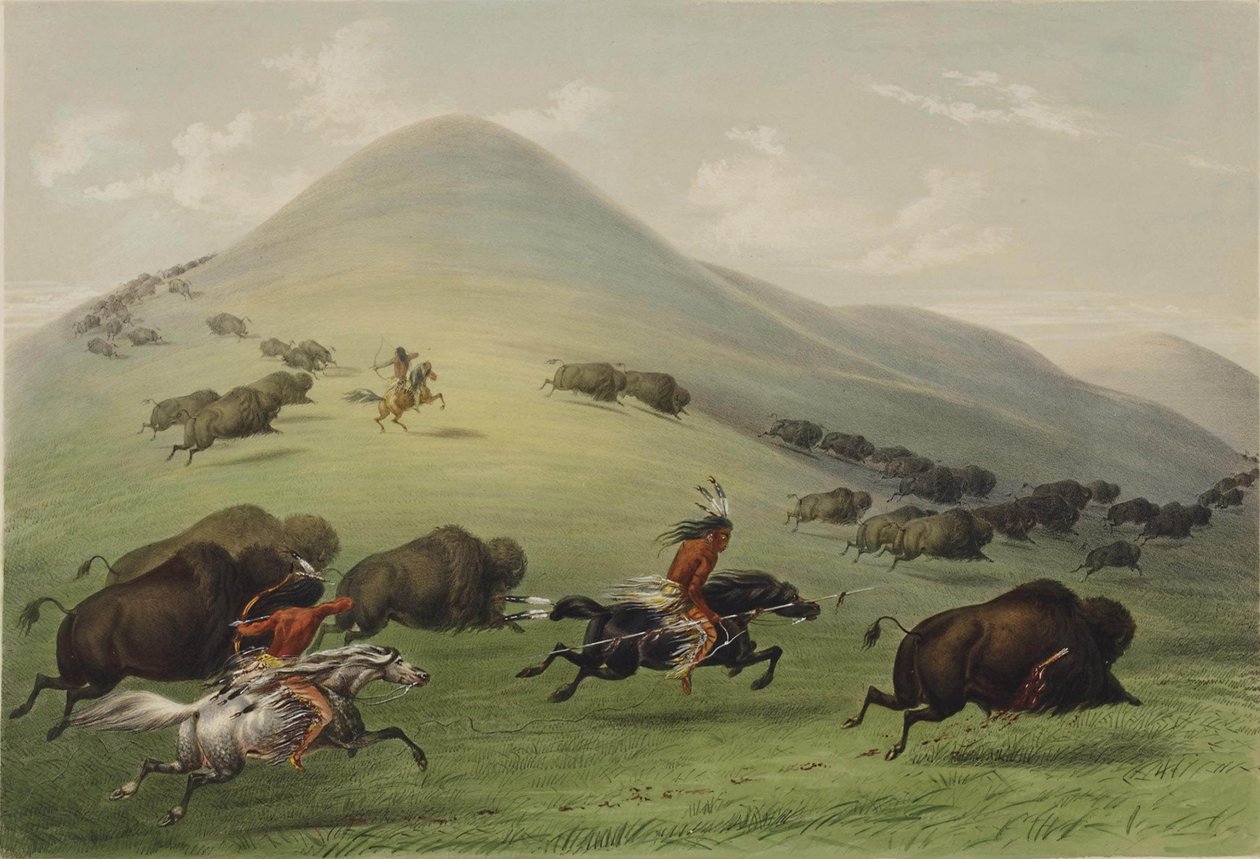 Buffeljakten av George Catlin