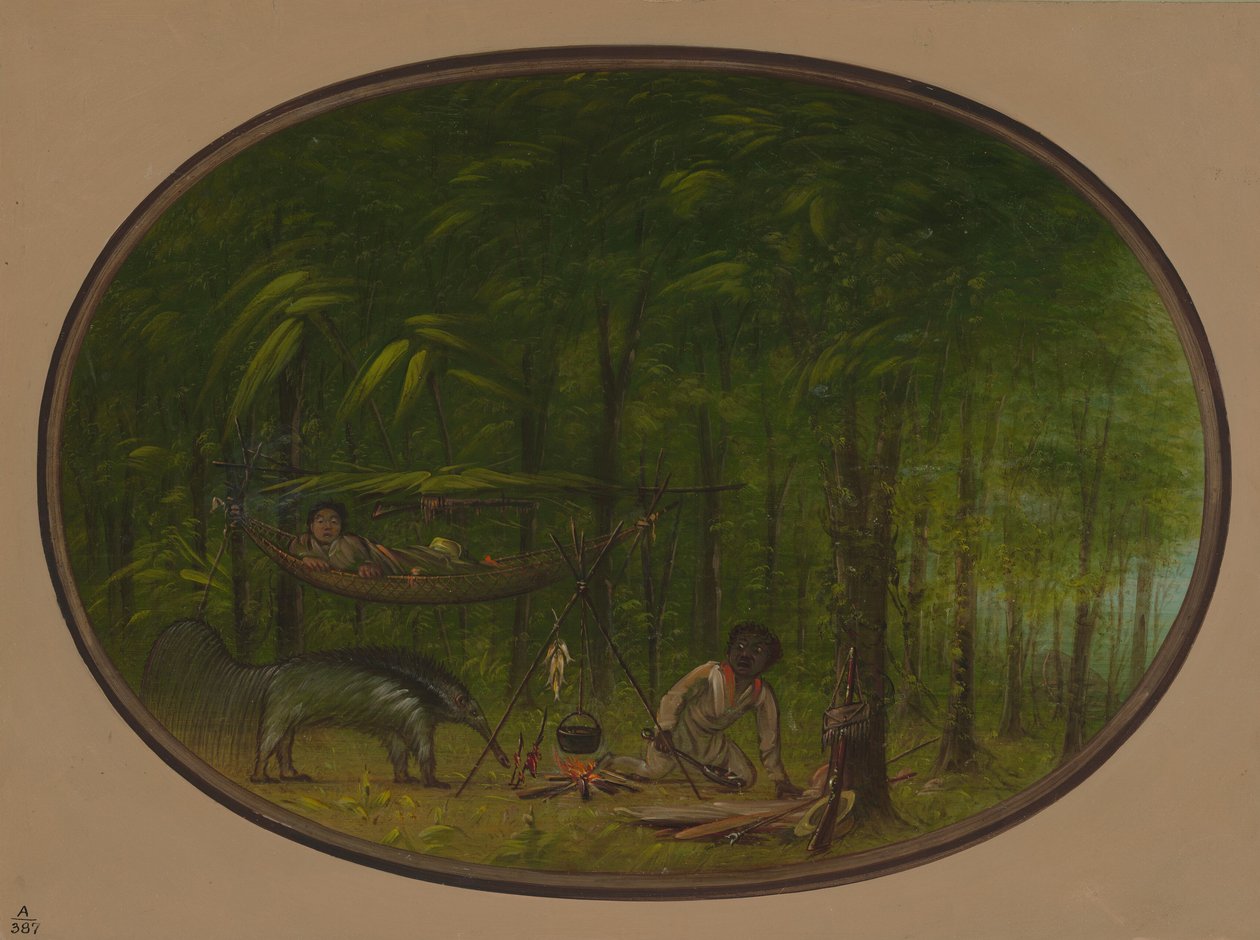 Den stora myrätaren, 18541869. av George Catlin