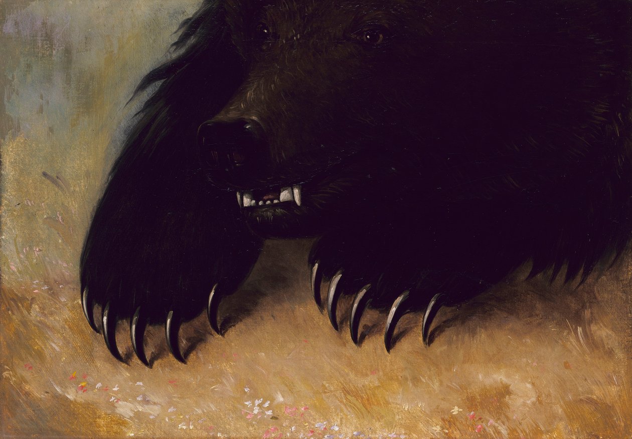Grizzlybjörnens vapen och fysionomi av George Catlin