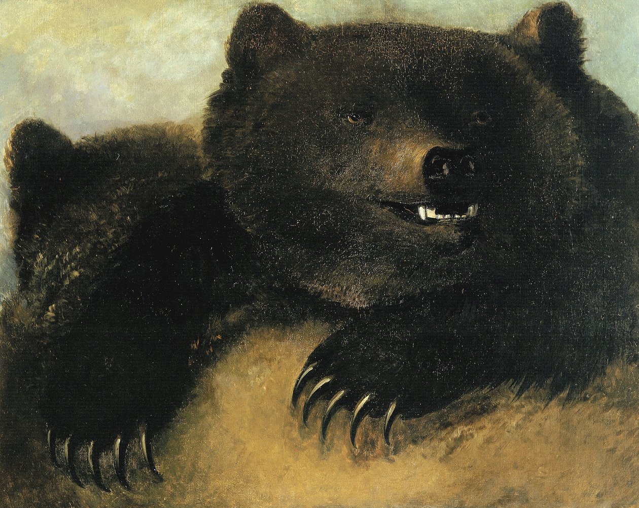 Grizzlybjörnens vapen och fysionomi av George Catlin