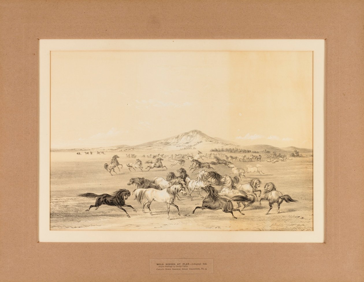 Vilda hästar i lek - nr. 3 av George Catlin