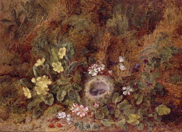 Stilleben med fågelbo och vilda blommor av George Clare
