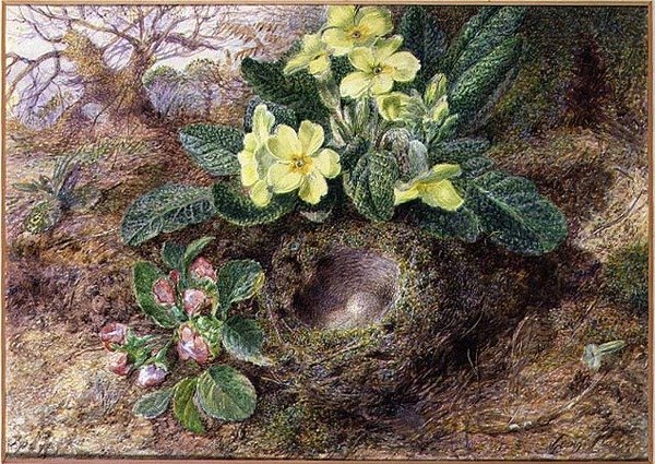 Stilleben med primörer och fågelbo (akvarell, gouache på papper) av George Clare