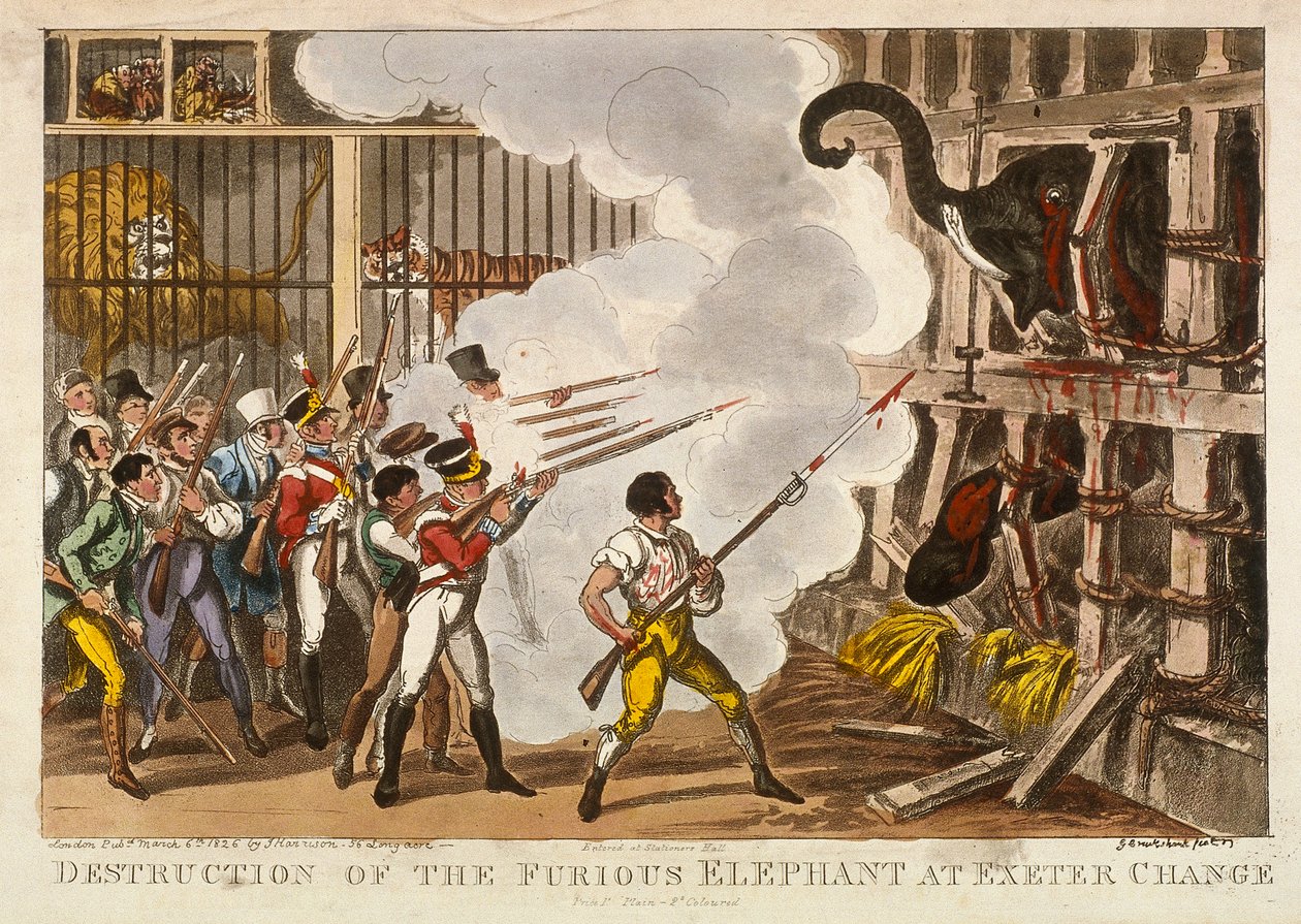 "Förstörelse av den rasande elefanten vid Exeter Change", 1826 av George Cruikshank