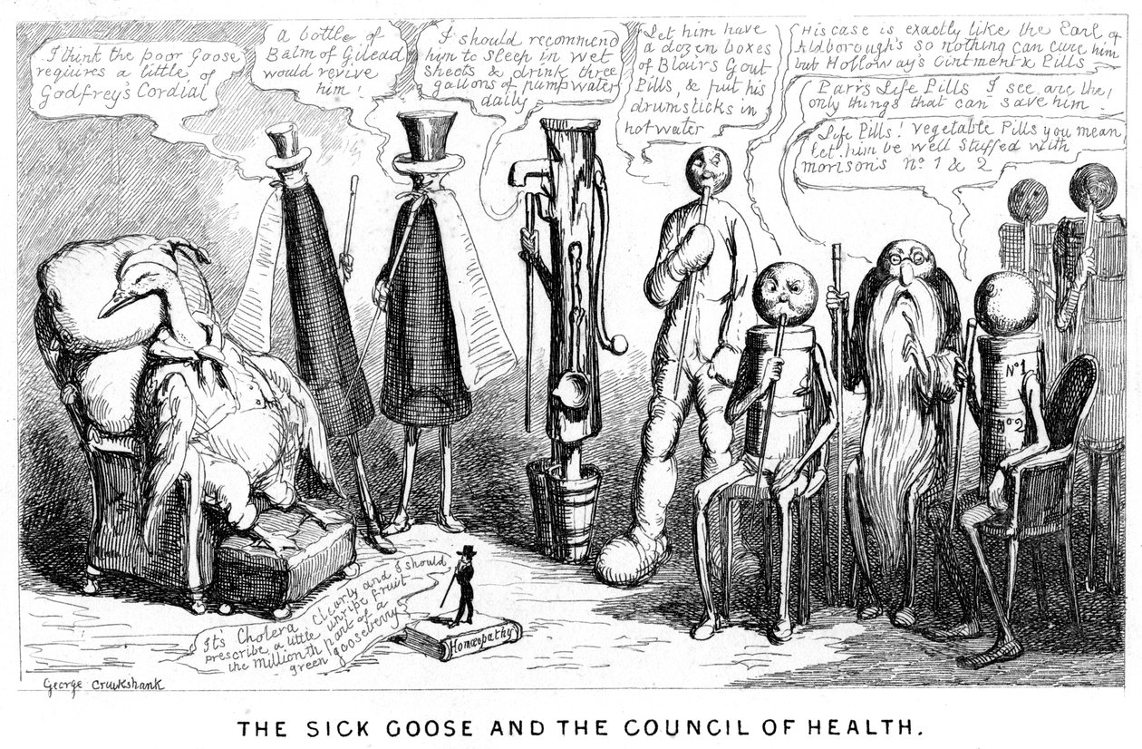 Den sjuka gåsen och hälsorådet, 1800-talet av George Cruikshank