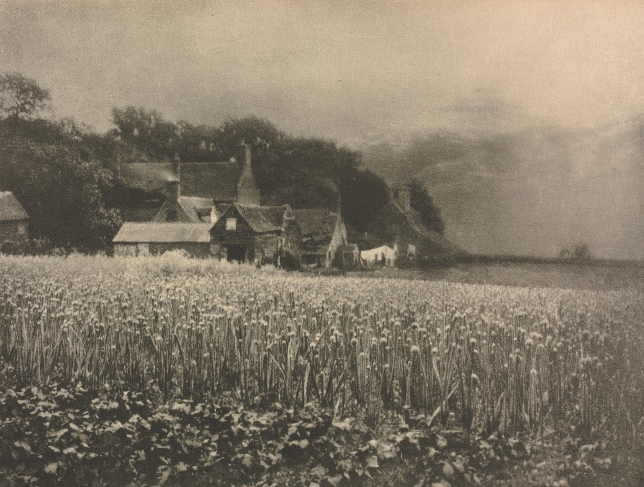 Kameraarbete: Lökfältet - 1890 av George Davison