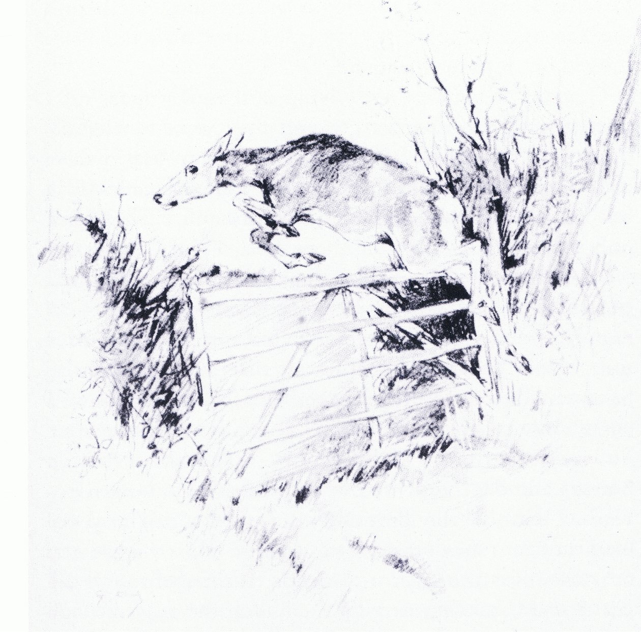 Som en pil från en båge (litho) av George Denholm Armour
