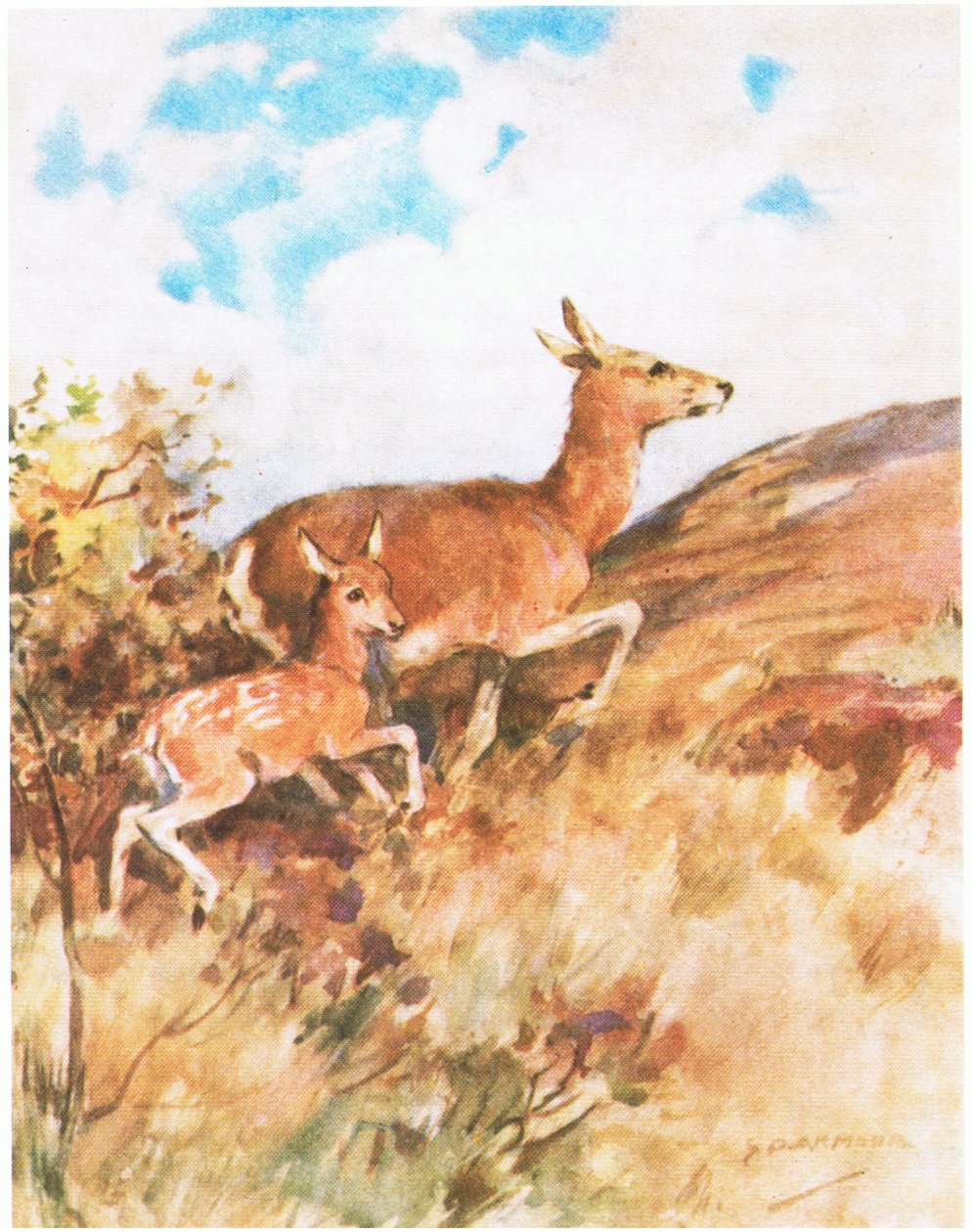 Tawny vände sig om och flydde och uppmanade Rusty att följa henne (färg litho) av George Denholm Armour