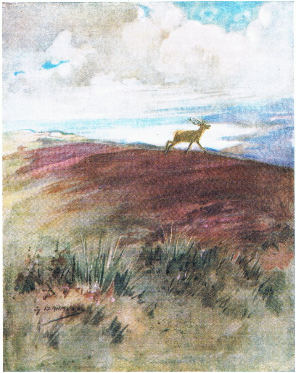Luften var nära och tung när han galopperade ner från åsen (färg litho) av George Denholm Armour