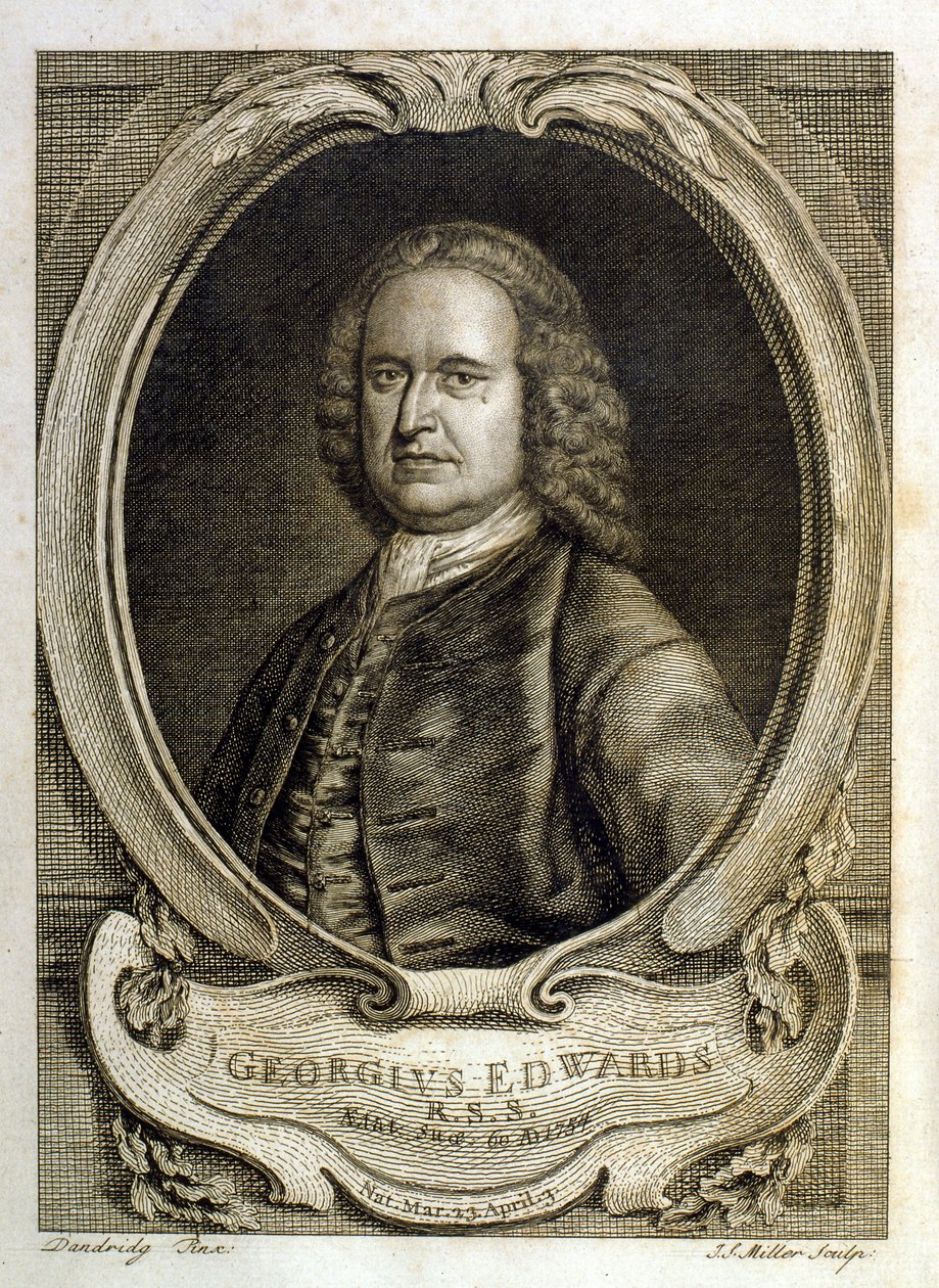  av George Edwards