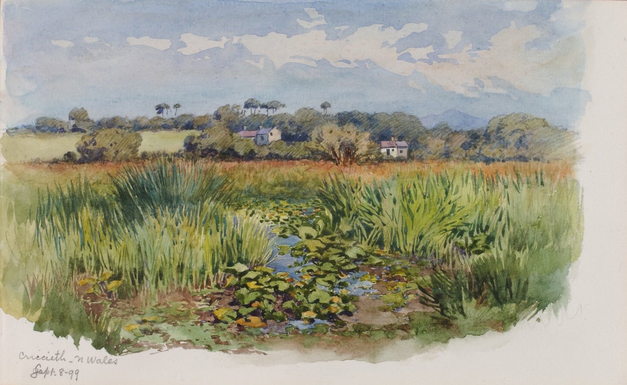 Criccieth, N Wales av George Elbert Burr