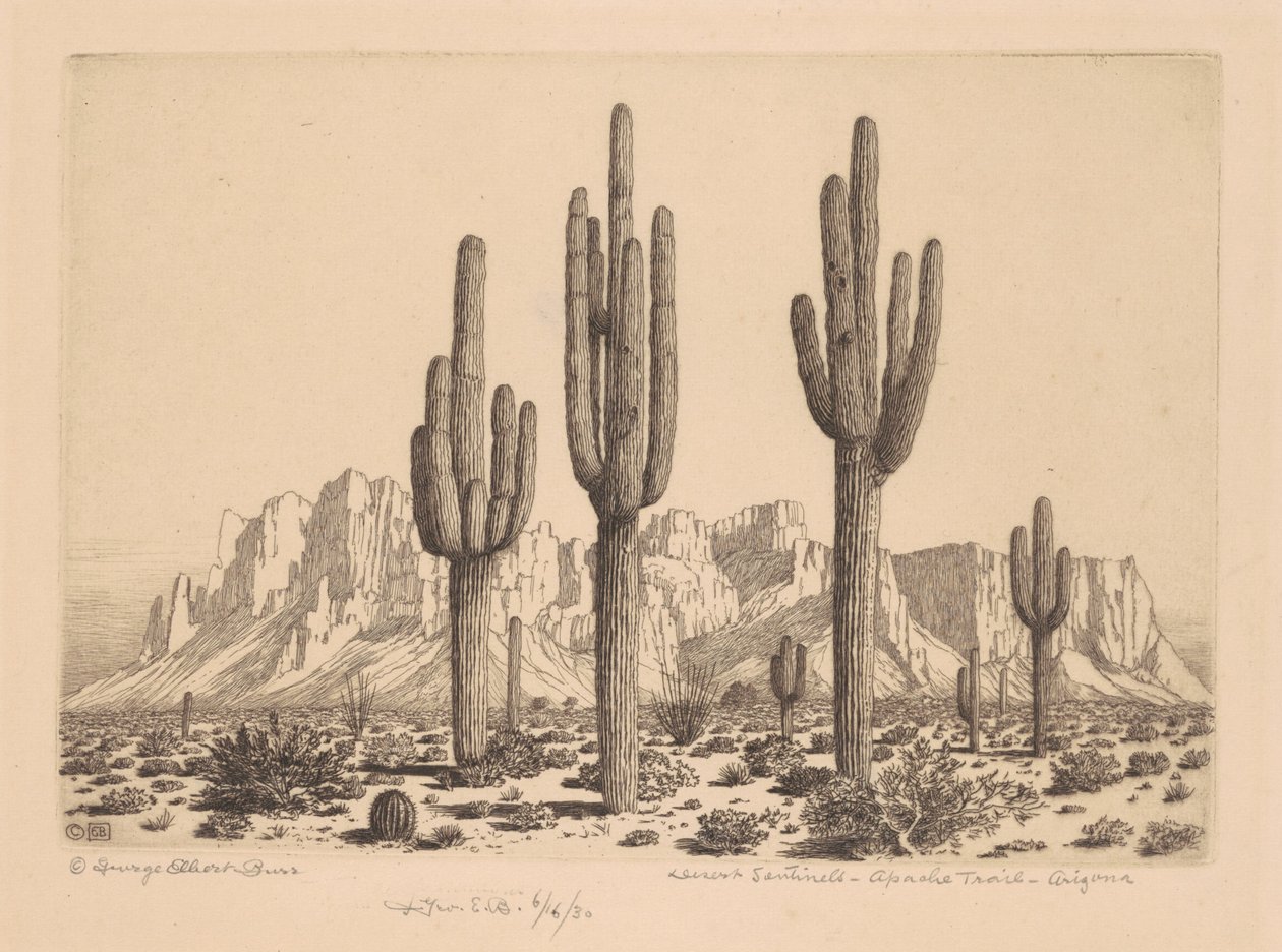 Desert Sentinels, Apache Trail, Arizona av George Elbert Burr