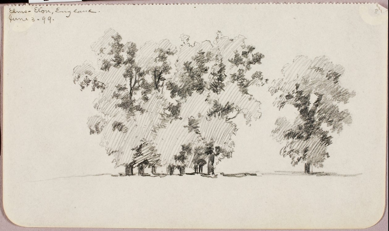 Elms--Eton, England av George Elbert Burr