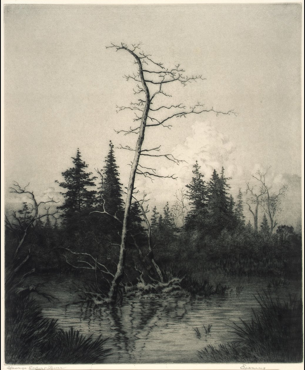 Kväll av George Elbert Burr