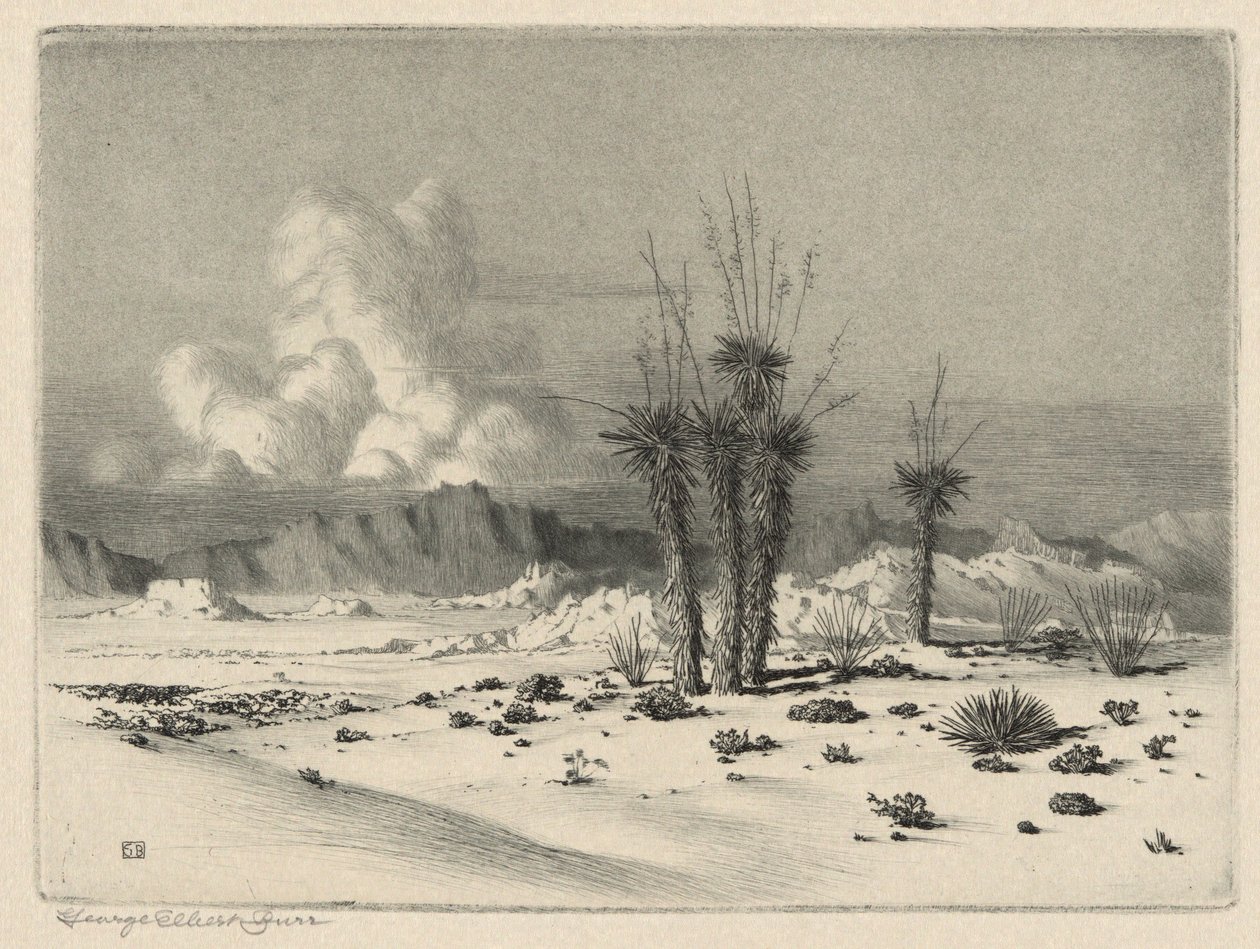 Kväll, Arizona av George Elbert Burr