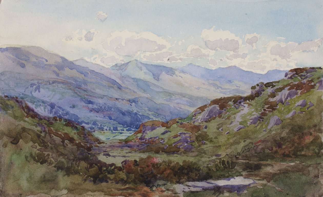 Från ovan Pont-y-Pant, 1899. av George Elbert Burr