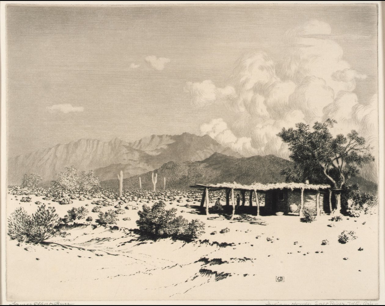 Indian Homes, Salt River Mountains, Arizona av George Elbert Burr