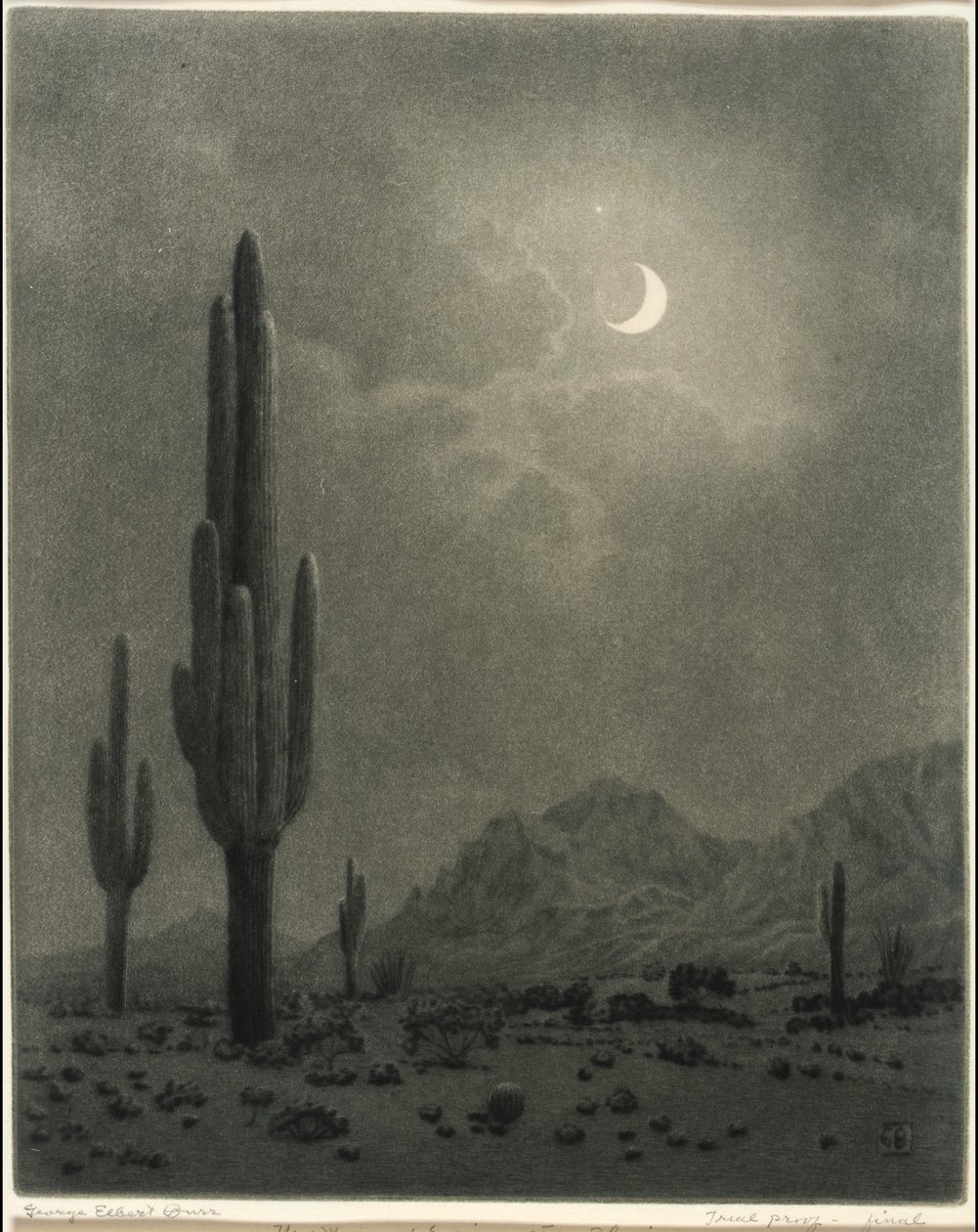 Nymåne och Aftonstjärna, Phoenix av George Elbert Burr