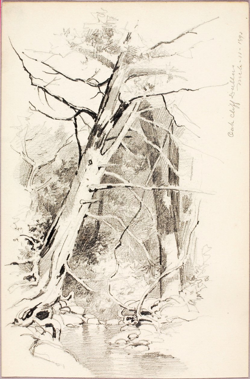 Oak Cliff, Dallas av George Elbert Burr