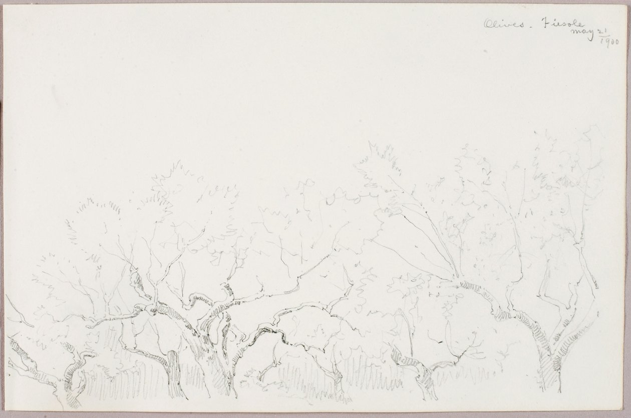 Oliver--Fiesole av George Elbert Burr